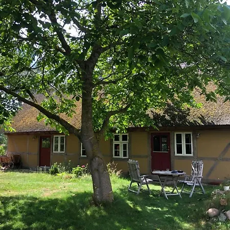 Auf Dem Land 3*